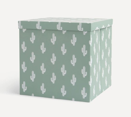 Caja Organizadora Plegable Cactus El Corte Ingles