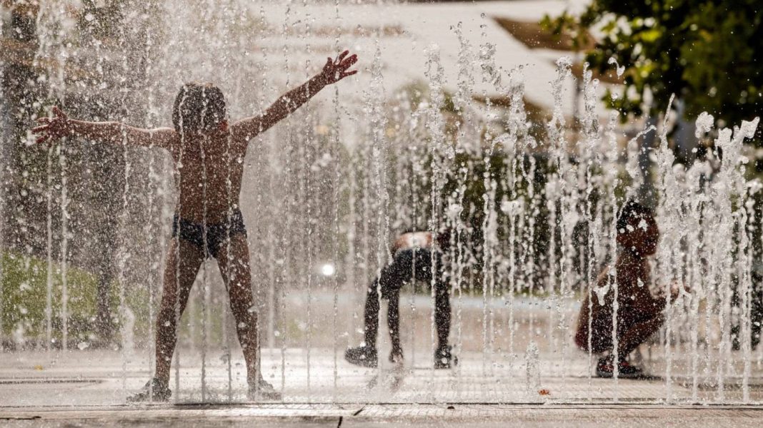 Sobreviviendo al abrasador calor del verano