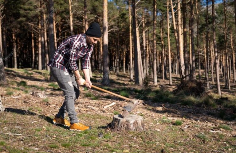 Fundación Artemisan denuncia un «exceso de proteccionismo» legal que pone «en grave riesgo de incendios los espacios protegidos»