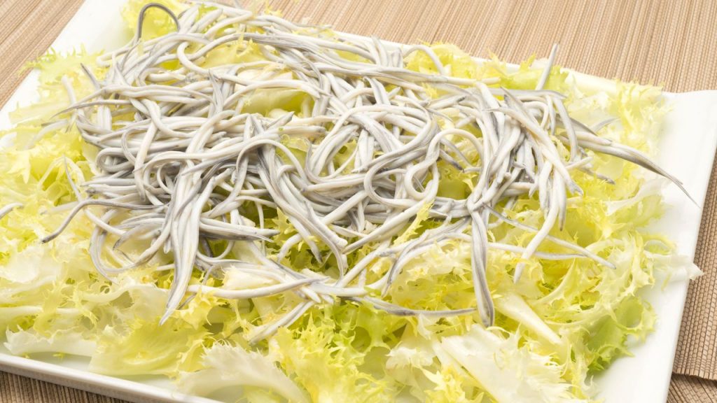 ¿Estás Buscando Un Plato Para Una Ocasión Especial?