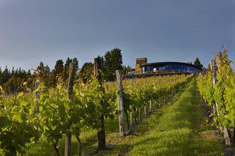 Bodegas Berroja En Bizkaia