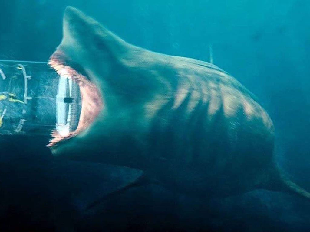 El Filme Como Tal Fue Estrenado En El Año 2018