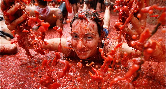 El Lado Amargo De La Fiesta De La Tomatina