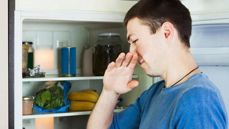 Es ideal para eliminar los malos olores de la cocina y el baño
