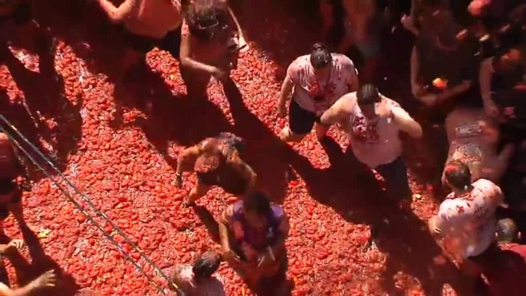 La ‘tomatina’: el desperdicio de miles de tomates en plena crisis de inflación