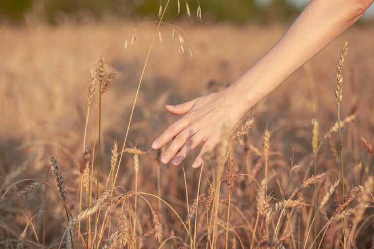 Vitamina B: el elixir de la juventud para una vida vibrante