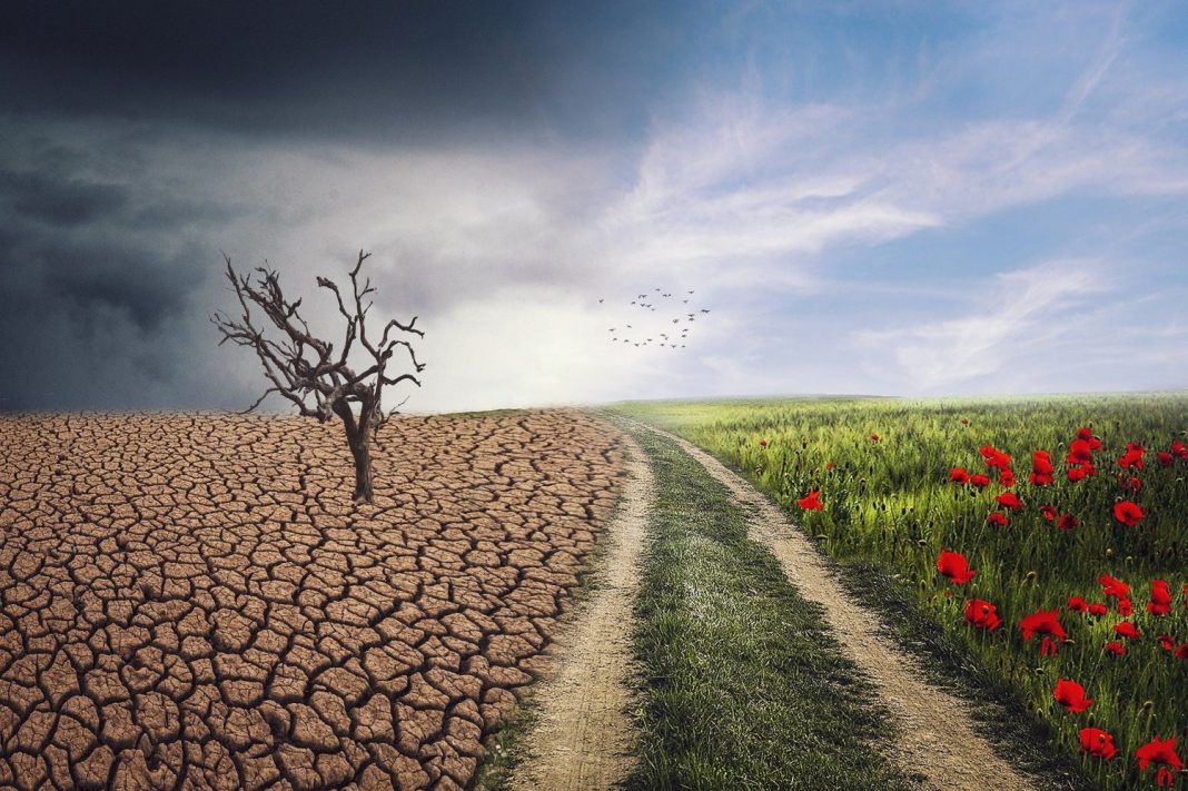 Desarrollo vs. cambio climático