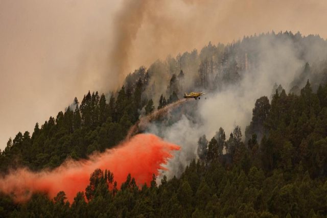El Incendio De Tenerife: Estas Son Las Ayudas Que Se Han Recibido Hasta El Momento