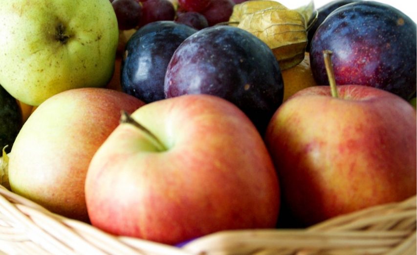 Alimentos Que Aumentan Tu Pecho Sin Hacerte Engordar