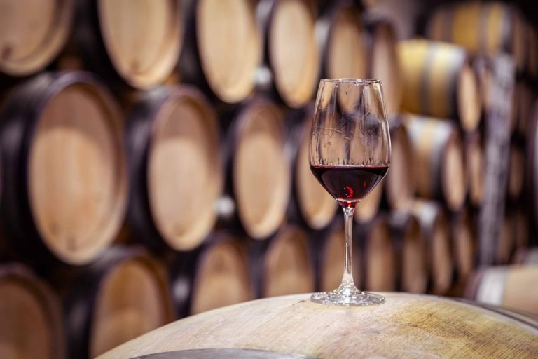 Certitec lanza al mercado un ERP vitivinícola específico para bodegas