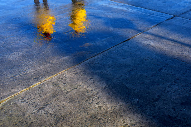 Colores versátiles: amarillo, negro y verde agua