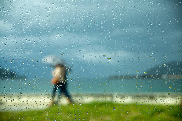 Ideal para los días de lluvia: tu compañero en climas cambiantes