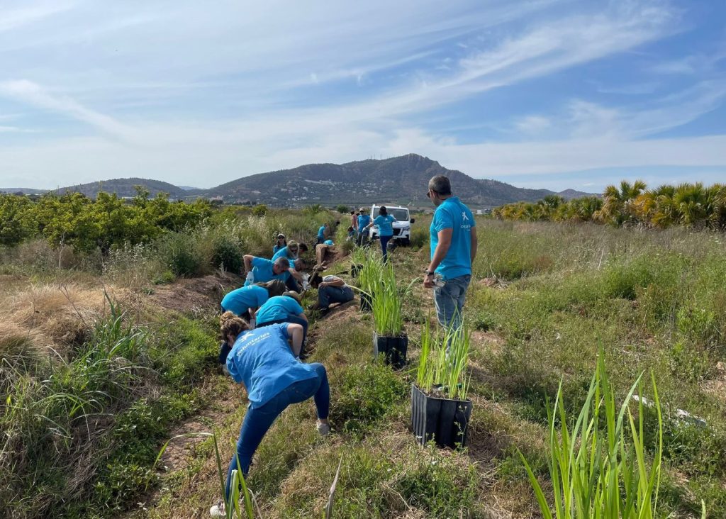 Voluntariado De Caixabank