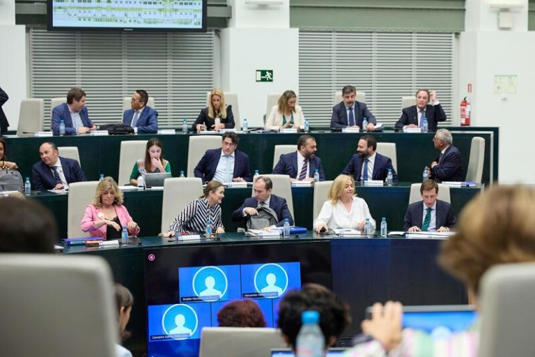 Madrid acoge este viernes un Pleno extraordinario para abordar la amnistía y mostrar su «apoyo a la Constitución»