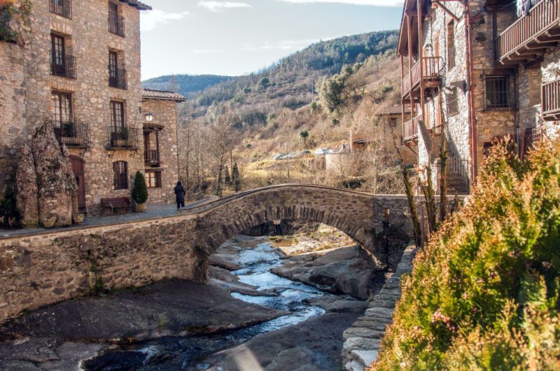 Beget
