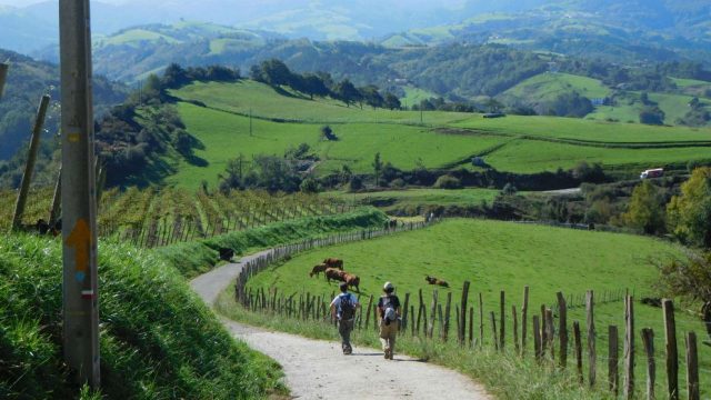 Carlos (62 Años), Guía Turístico: «Hacer El Camino De Santiago En Verano Es Un Error De Novato». Revela Por Qué Septiembre Es El Único Mes Que Merece La Pena