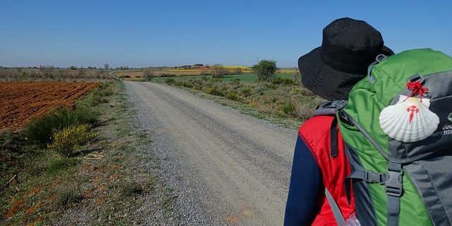 El Camino De Santiago