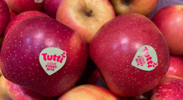 La Variedad De Manzana Sembrada En Girona Y Lleida Que Resiste Al Cambio Climático