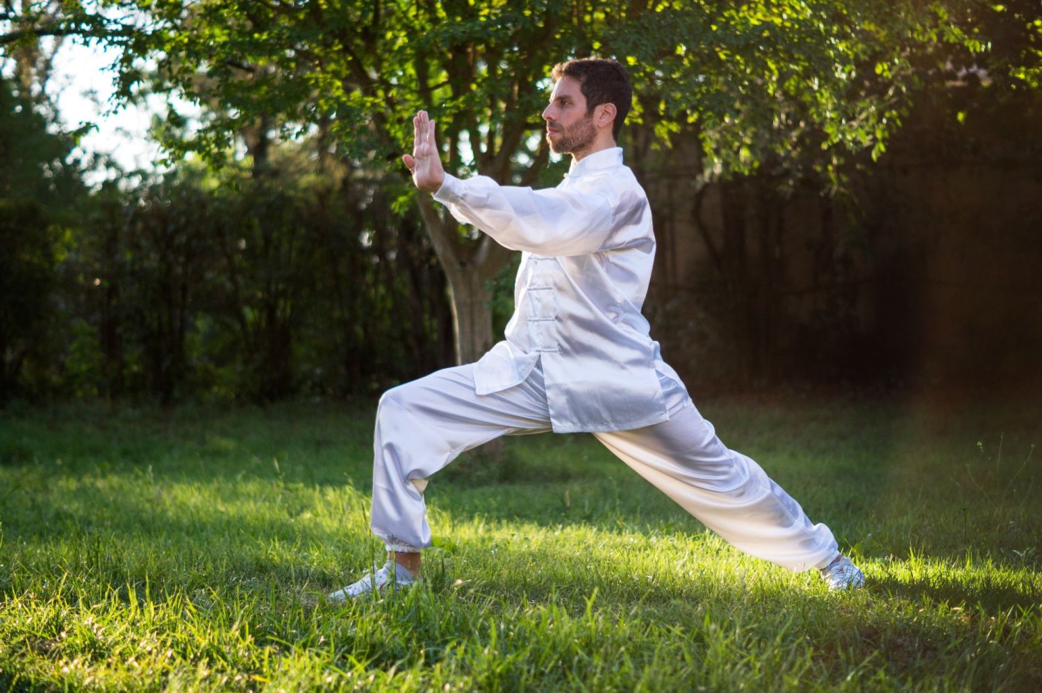 Prueba El Tai Chi