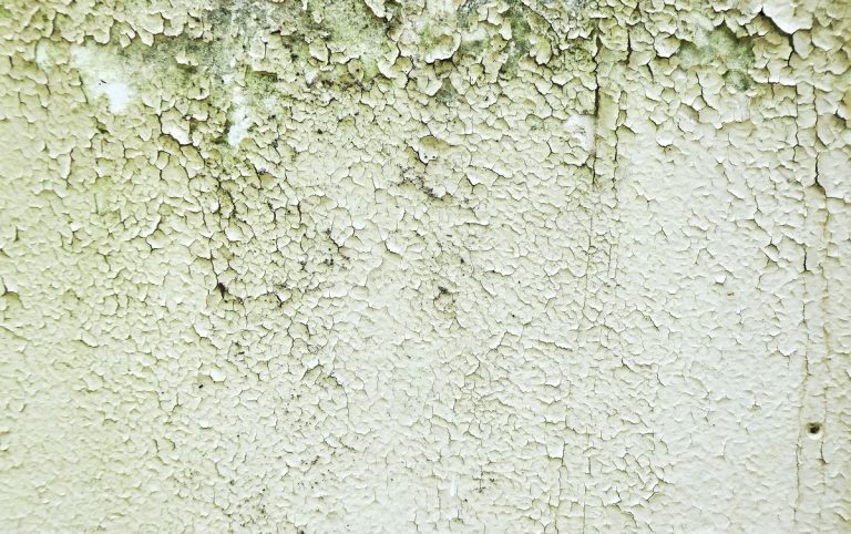 Cómo quitar la humedad de la pared