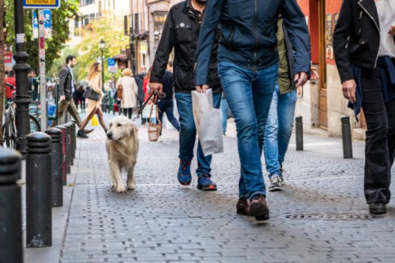 La campaña alternativa al Black Friday que está lanzando Lavapiés