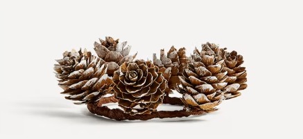 Pina Navidad