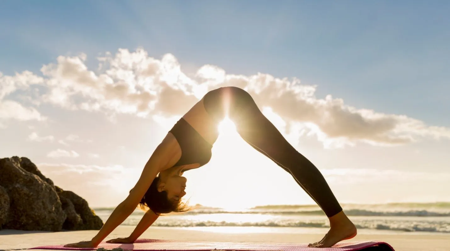 Mudras: Para Calmar La Mente Y El Cuerpo