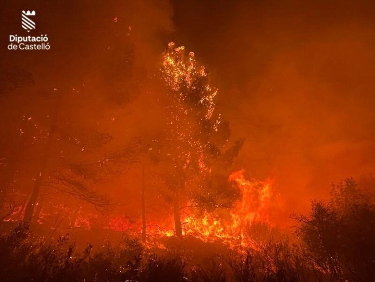 Dos medios aéreos, 5 autobombas y 4 unidades forestales trabajan en el incendio de Les Useres (Castellón)