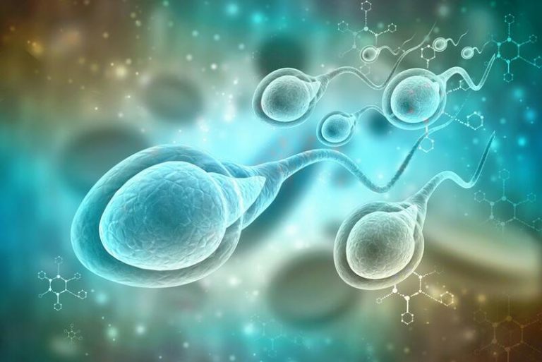 Experta asegura que la presencia de plástico ha empeorado la calidad del semen en los últimos años