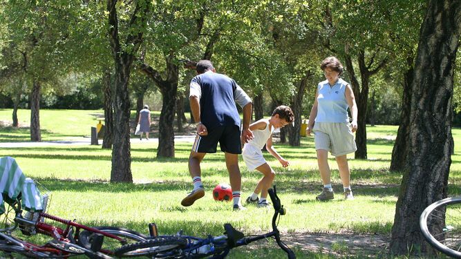 Aventuras en los parques urbanos y temáticos de la ciudad