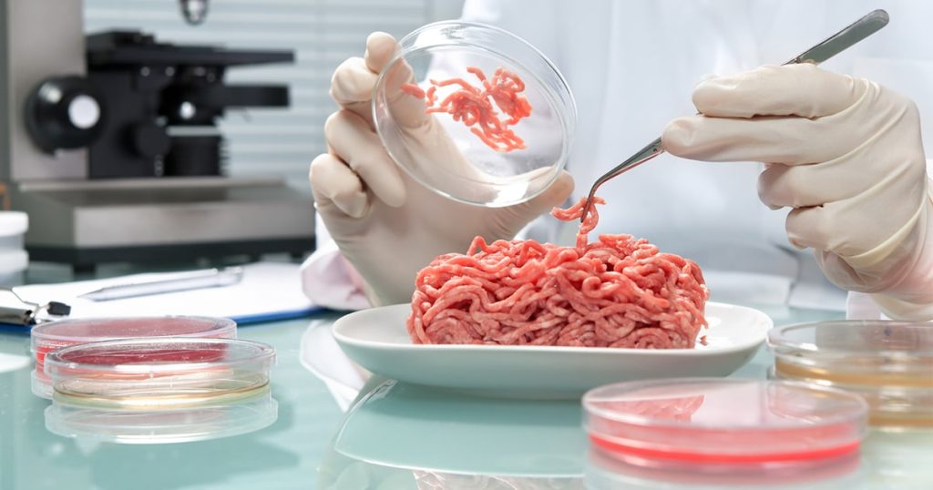 Alimentacion