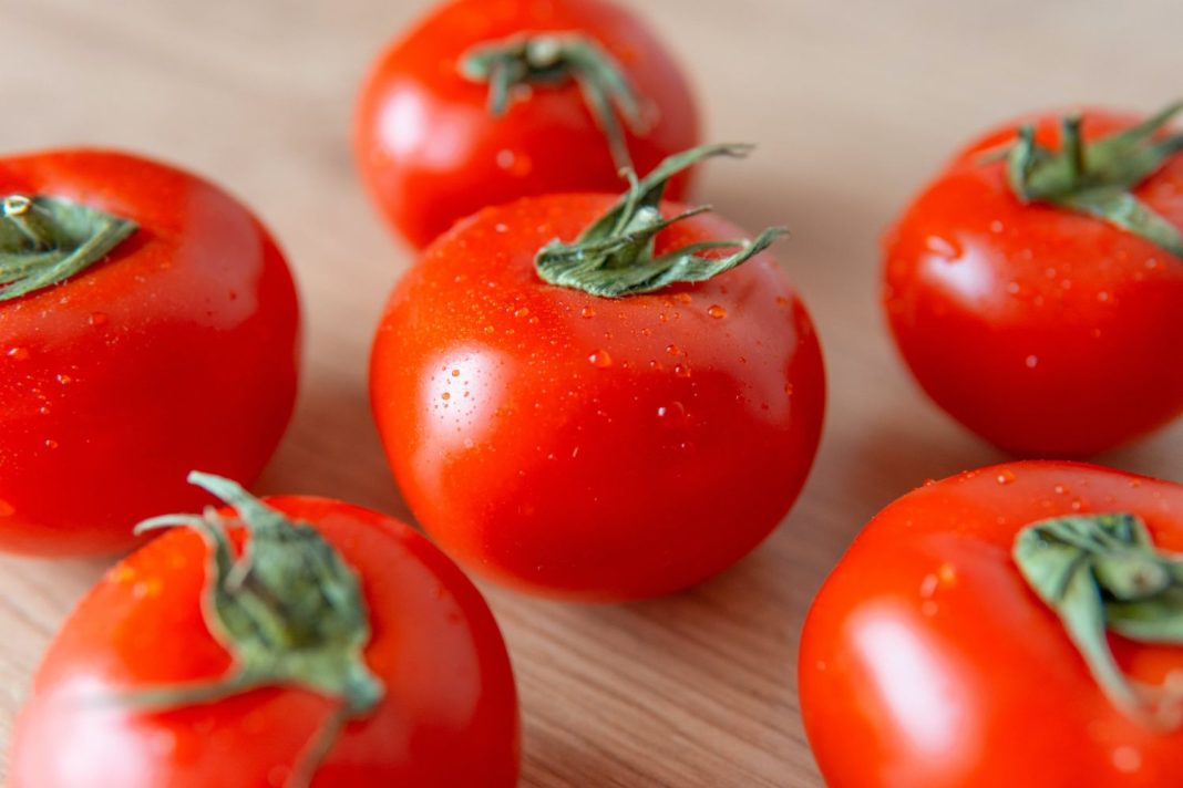 Encuentran en el espacio un tomate que cultivó la NASA y desapareció misteriosamente