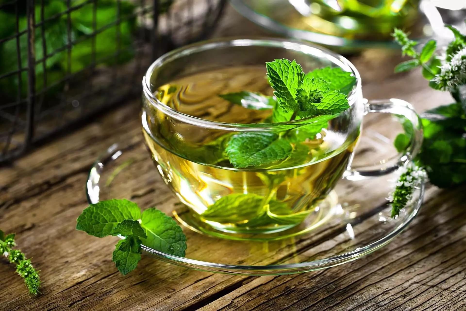 Té De Menta: Refrescante Y Saciante