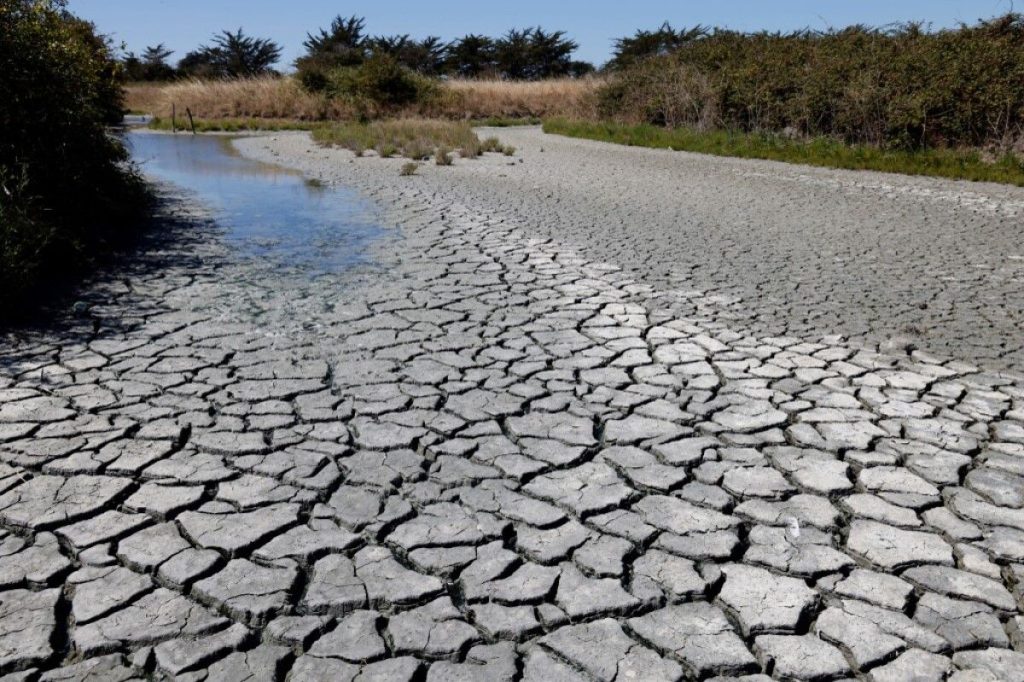 Los Desafíos De La Cop28 En Plena Crisis Energética Global