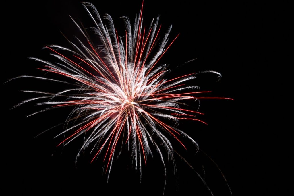 ¿Tu Perro Sufre Con Los Fuegos Artificiales? Así Puedes Protegerlo En Nochevieja