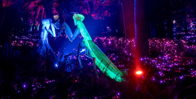Naturaleza Encendida En El Parque Enrique Tierno Galván
