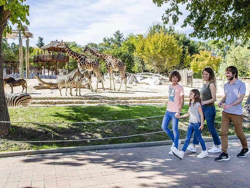 No olvides la visita al zoológico de la ciudad