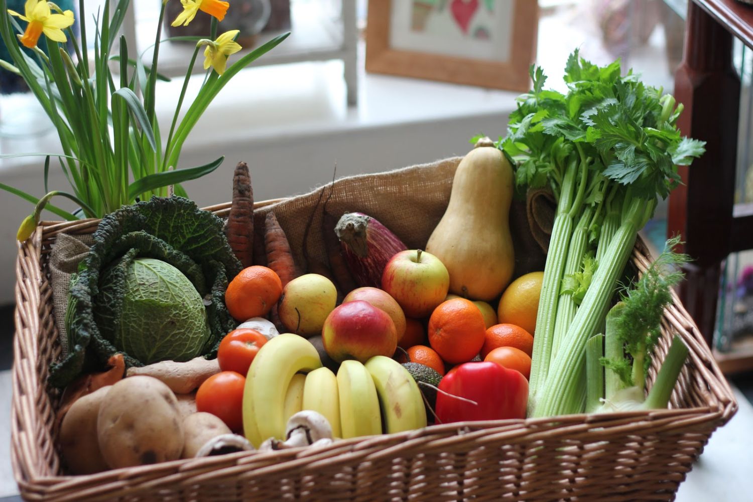 Una Alimentación Saludable Como Pilar Fundamental