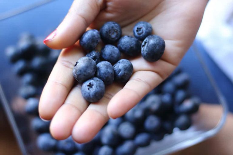 Transforma tu belleza naturalmente: Los increíbles beneficios de los arándanos