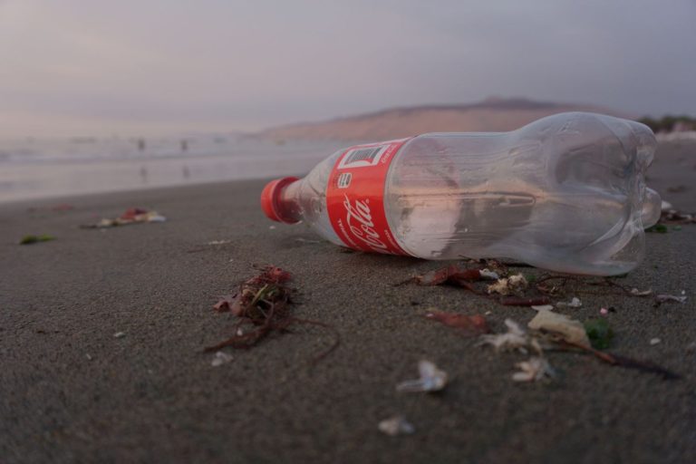 Coca-Cola y el greenwashing que mancha la historia de la COP28