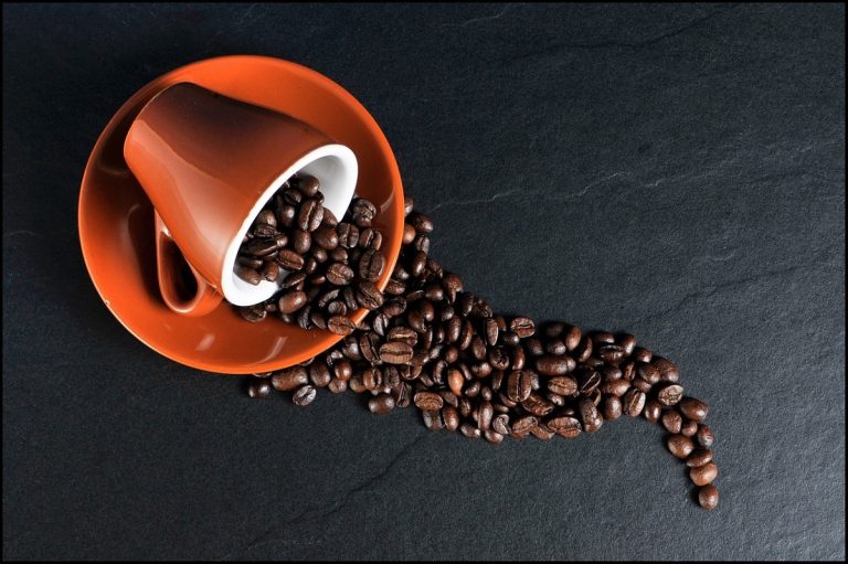 ¿Te gustaría degustar un café gourmet en tu hogar?