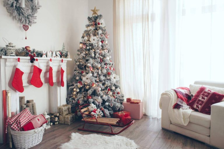 Adquirir con Navet árboles de Navidad sostenibles