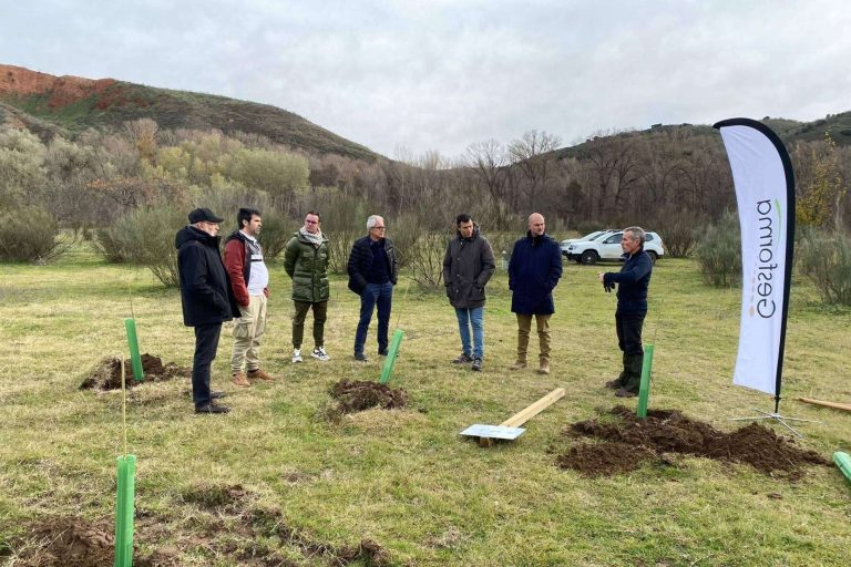 Foxy y Fundación Alcoraz; nuevo bosque en Torremocha de Jarama