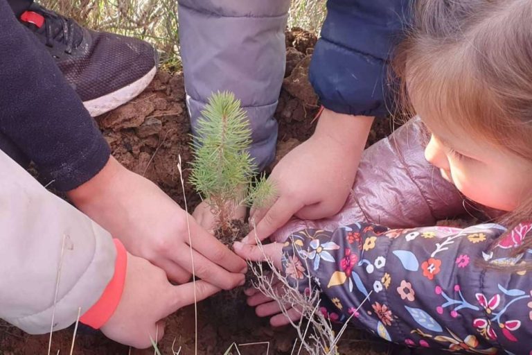 NONODOOM se compromete con el medioambiente con las jornadas de plantación exitosas en La Rioja