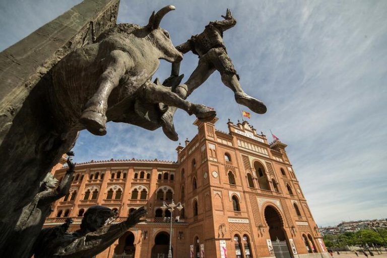 Animalistas presentan en el Congreso una iniciativa para derogar la tauromaquia como patrimonio cultural
