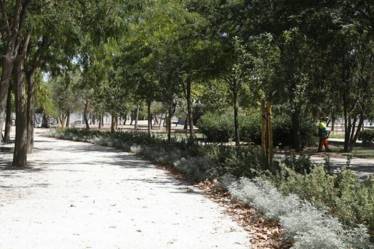 Un joven denuncia que fue violado por ocho hombres el día de Año Nuevo en un parque de Madrid