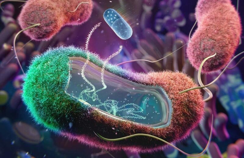 Desarrollan un nuevo antibiótico eficaz contra una bacteria ...