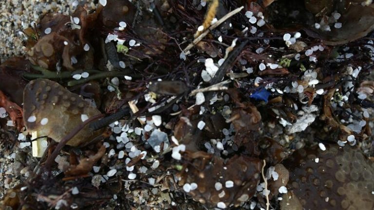 Cantabria reúne al Centro de Coordinación para definir el plan de acción ante la llegada de pellets