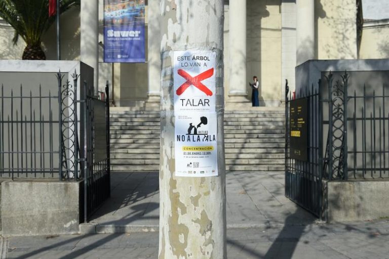 Una consejera de Madrid acusa al PSOE del «chivateo» a la Unesco