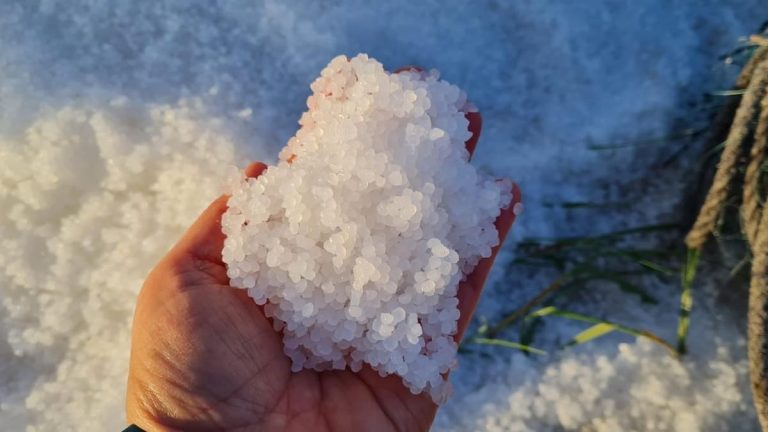 El riesgo de los pellets de Galicia en el pescado español